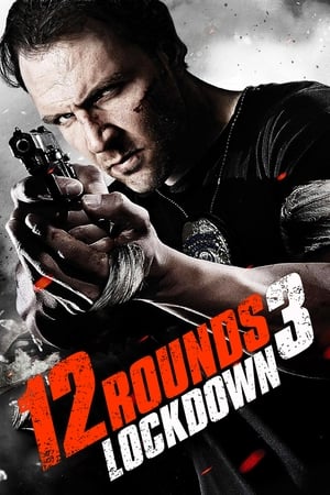 12 Rounds 3 Lockdown 2015 Dual Audio | Dubbed Hindi Movie BluRay 300MB