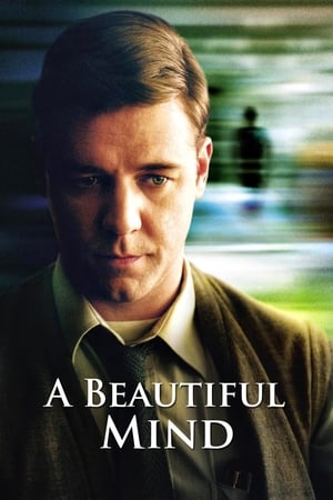 A Beautiful Mind 2001 Dual Audio | Dubbed Hindi Movie BluRay [1.2GB]