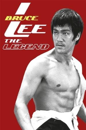 Bruce Lee the Legend 1984 Dual Audio | Dubbed Hindi Movie HDTVRip [1GB]