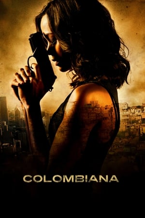 Colombiana (2011) Dual Audio | Dubbed Hindi Movie BluRay [1.1GB]