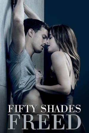 Fifty Shades Freed (2018) Dual Audio | Dubbed Hindi Movie BluRay [1GB]