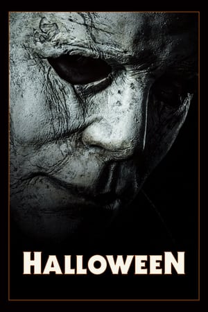 Halloween (2018) Dual Audio | Dubbed Hindi Movie BluRay 330MB