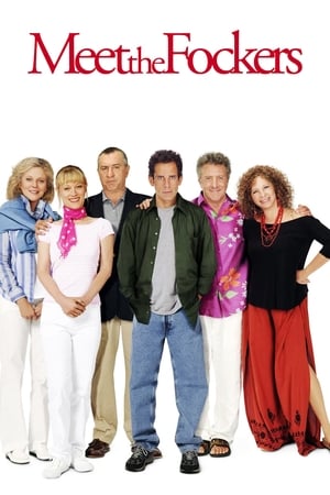 Meet the Fockers 2004 Dual Audio | Dubbed Hindi Movie BluRay 350MB