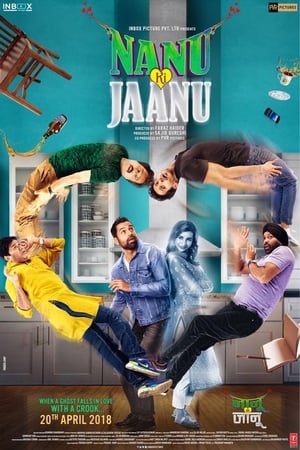 Nanu Ki Jaanu (2018) Movie | Dubbed Hindi Movie HDRip x264 [1GB]