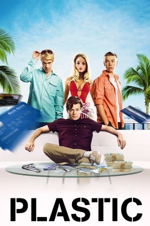 Plastic (2014) Dual Audio HDRip | Dubbed Hindi Movie – 480p