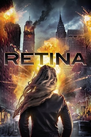 Retina 2017 Dual Audio | Dubbed Hindi Movie WebRip 300MB