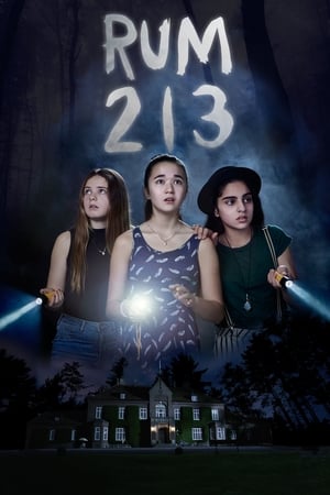 Rum 213 2017 Dual Audio | Dubbed Hindi Movie BluRay 280MB