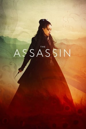 The Assassin 2015 Dual Audio | Dubbed Hindi Movie BluRay 300MB