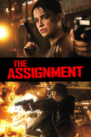 The Assignment (2016) Dual Audio | Dubbed Hindi Movie BluRay [850MB]