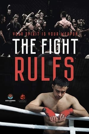 The Fight Rules 2017 Dual Audio | Dubbed Hindi Movie WebRip [730MB]
