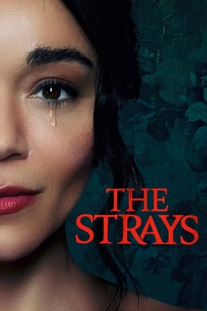 The Strays 2023 Dual Audio HDRip | Dubbed Hindi Movie – 480p